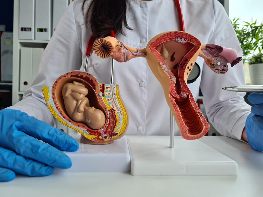 ค่าใช้จ่าย เด็กหลอดแก้ว